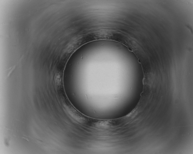 X0000103290086200809051509