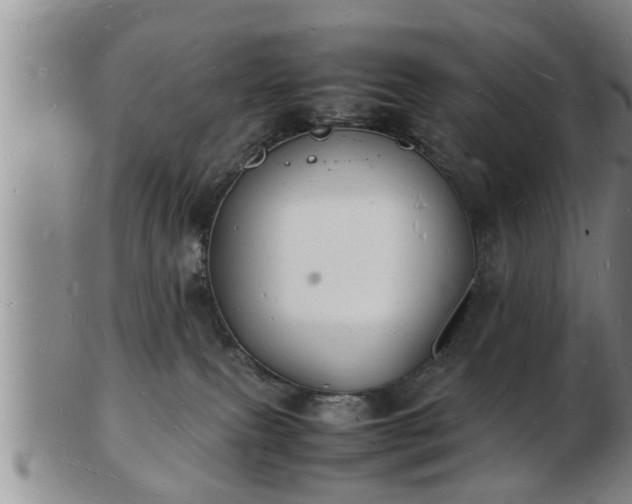 X0000103290087200809051509