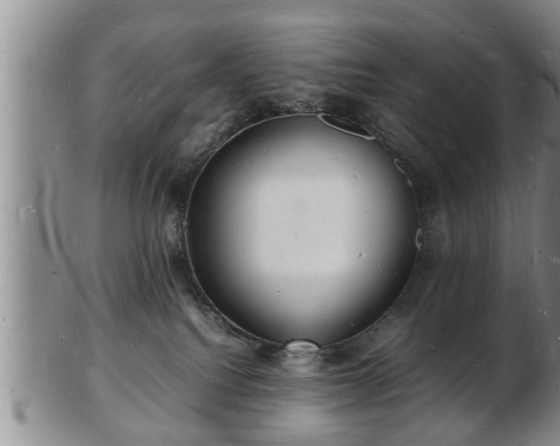 X0000103290088200809051509