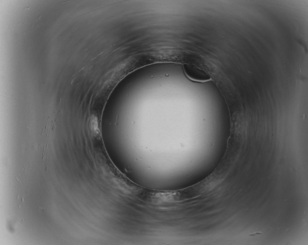 X0000103290089200809051509