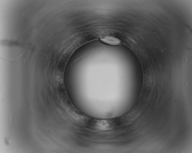 X0000103290091200809051509