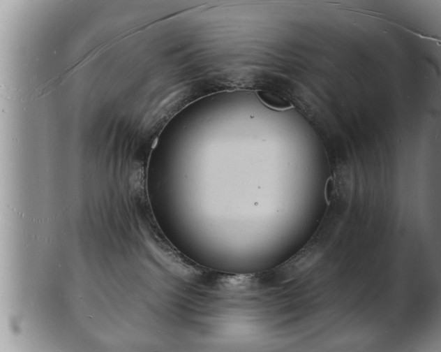 X0000103290092200809051509