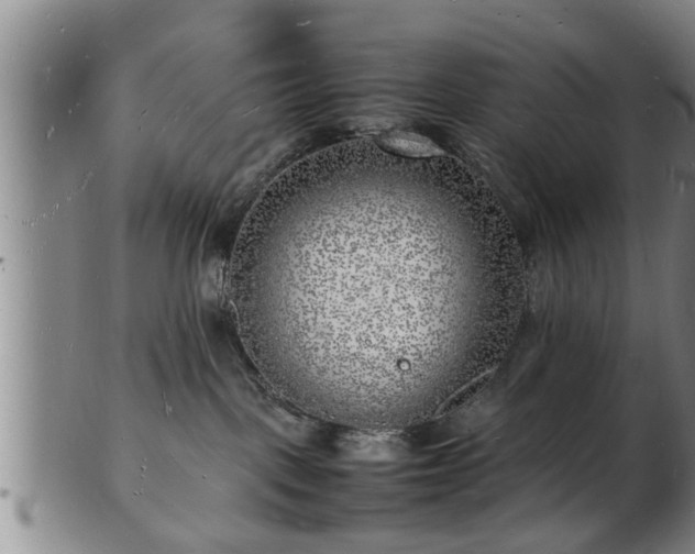 X0000103290093200809051509