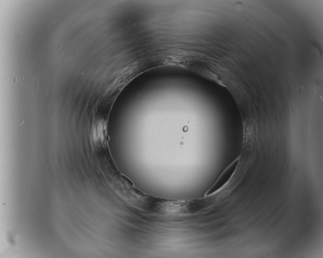 X0000103290094200809051509