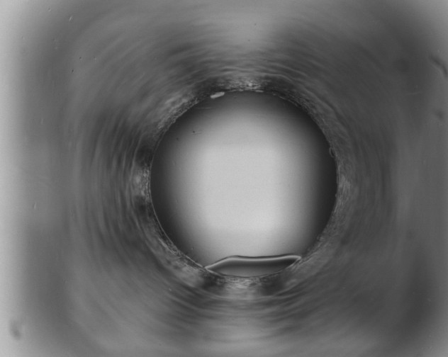 X0000103290096200809051509