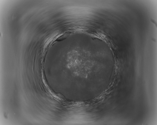 X0000103290097200809051509