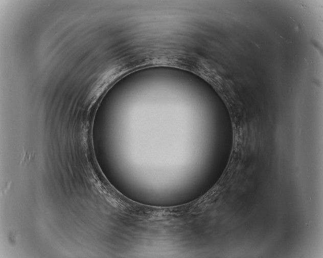 X0000103290098200809051509