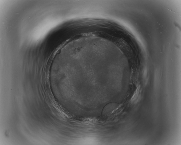 X0000103290099200809051509