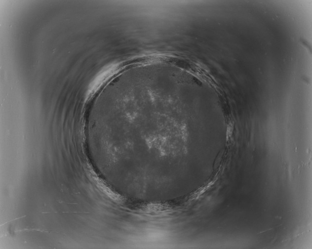 X0000103290101200809051509