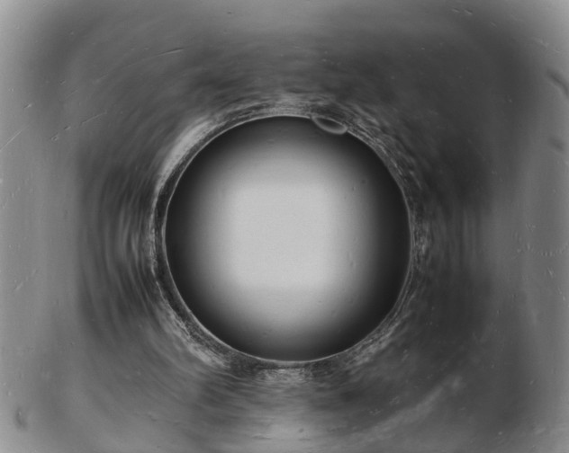 X0000103290102200809051509