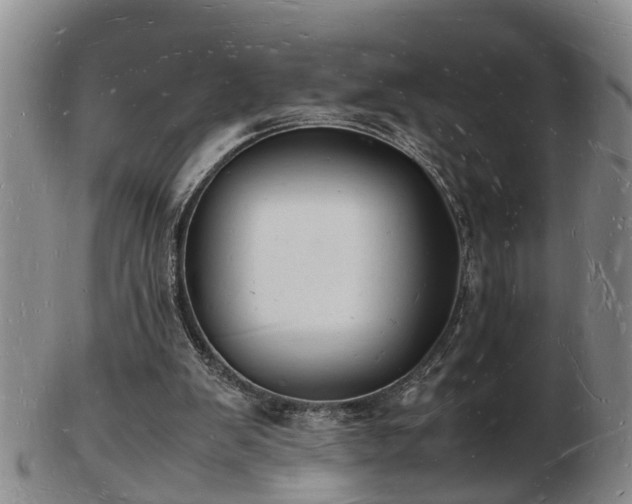 X0000103290103200809051509