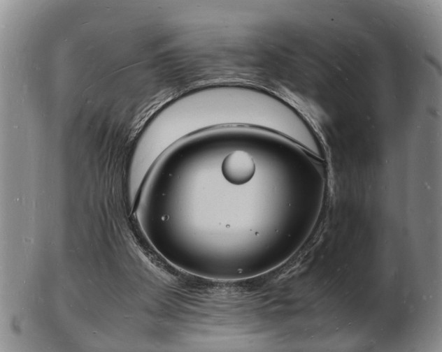 X0000103290105200809051509