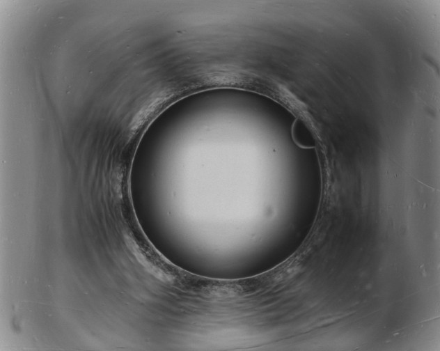 X0000103290106200809051509