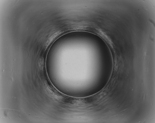 X0000103290107200809051509