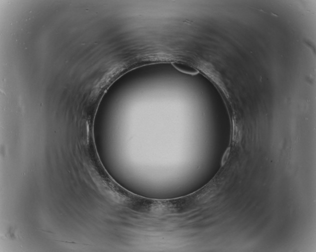 X0000103290109200809051509