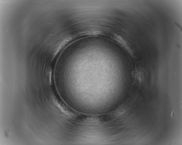 X0000103290110200809051509