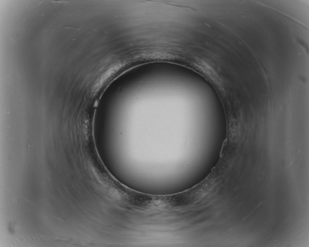 X0000103290111200809051509