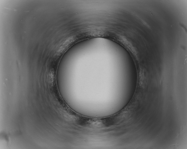 X0000103290113200809051508