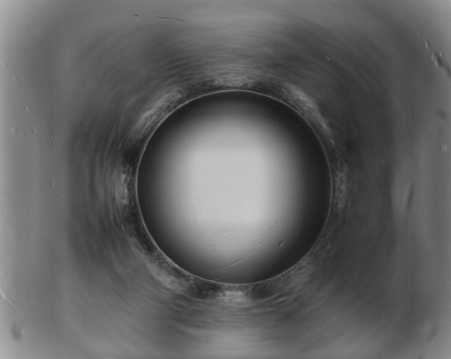 X0000103290114200809051508