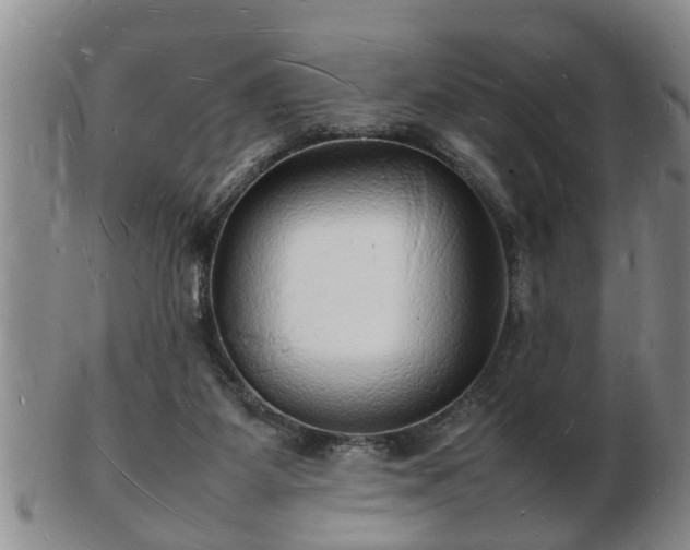 X0000103290115200809051508