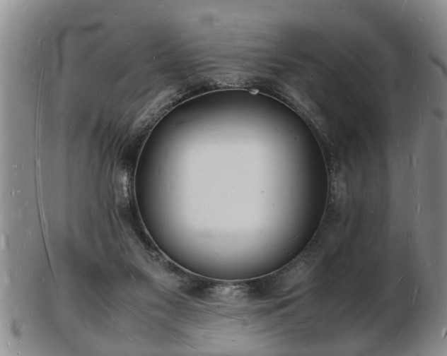 X0000103290117200809051508