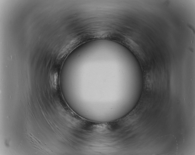 X0000103290118200809051508