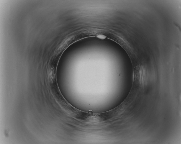 X0000103290119200809051508