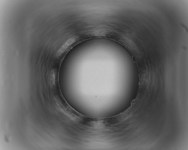 X0000103290120200809051508