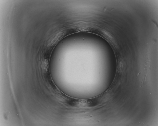 X0000103290121200809051508