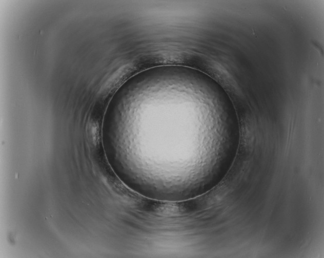 X0000103290123200809051508