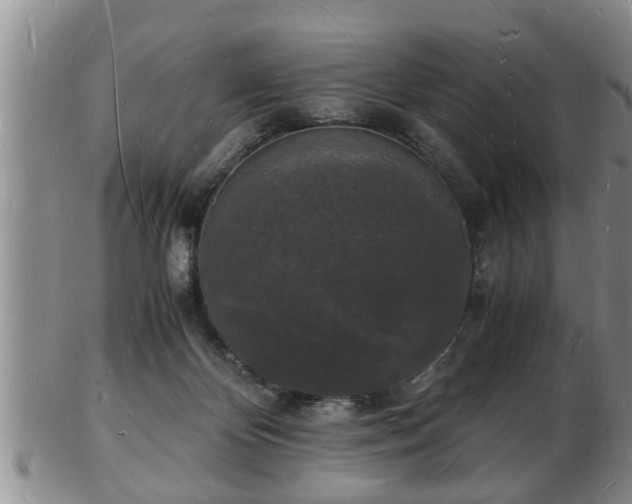 X0000103290124200809051508