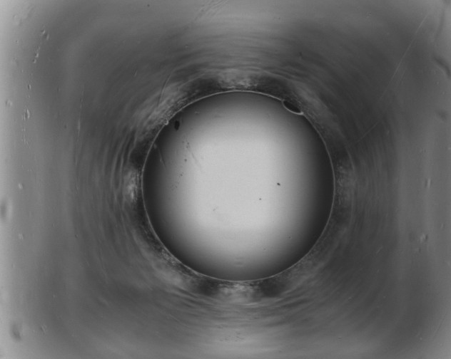 X0000103290125200809051508