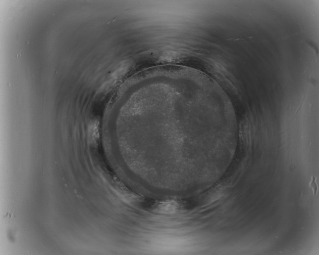 X0000103290127200809051508