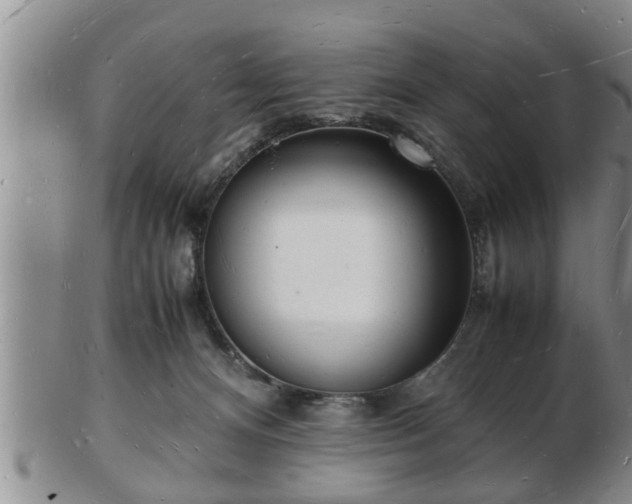 X0000103290128200809051508