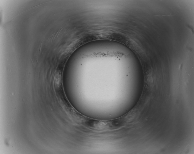 X0000103290129200809051508