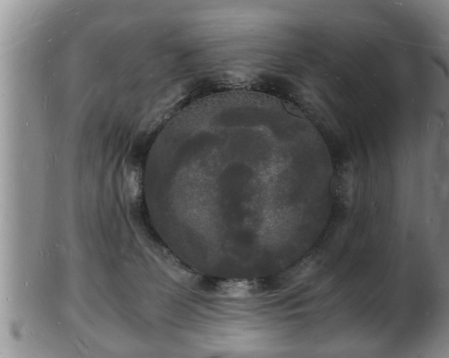 X0000103290131200809051508