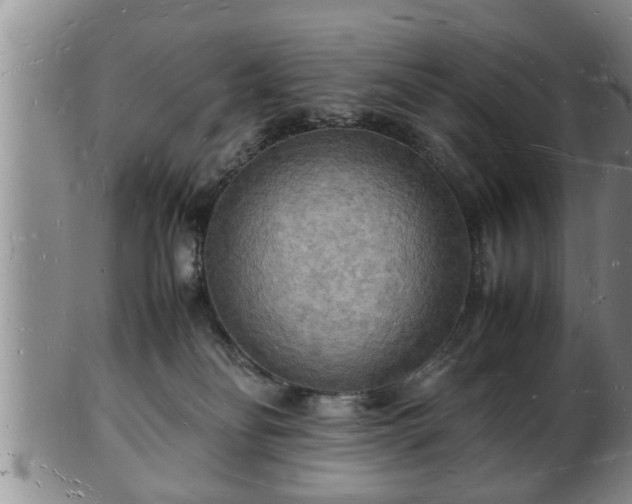 X0000103290134200809051508