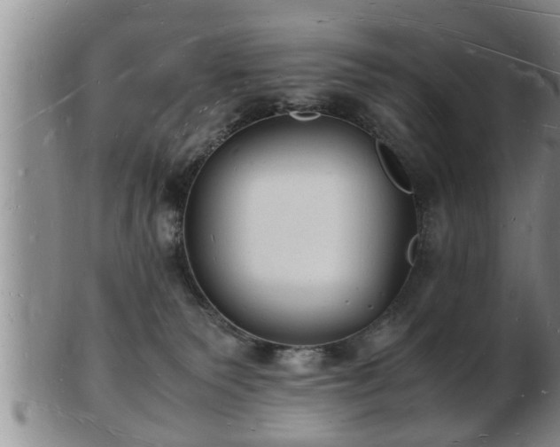 X0000103290135200809051508