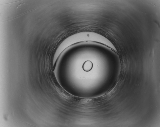 X0000103290136200809051508