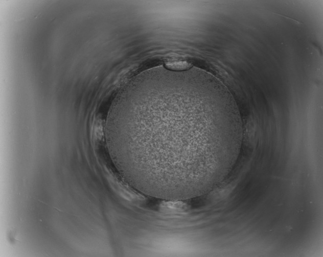 X0000103290137200809051508