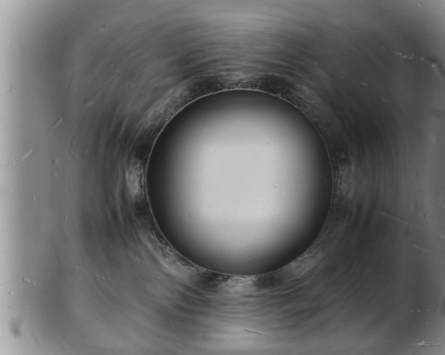 X0000103290138200809051508