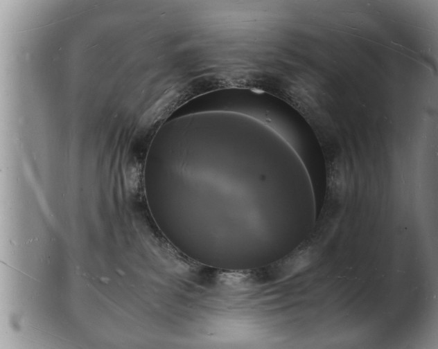 X0000103290139200809051508