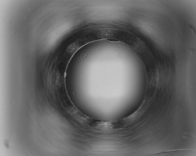 X0000103290140200809051508