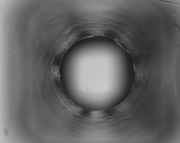 X0000103290141200809051508