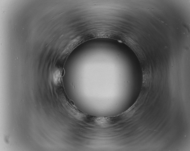 X0000103290142200809051508