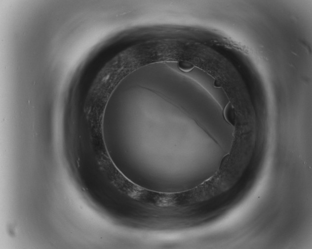 X0000103290143200809051508