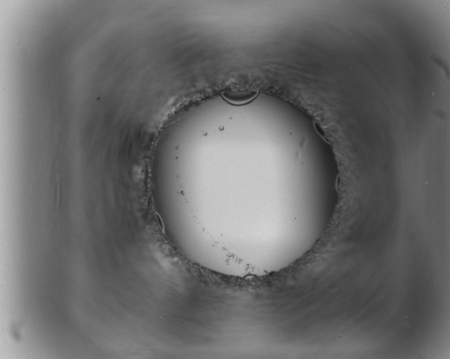 X0000103290144200809051508