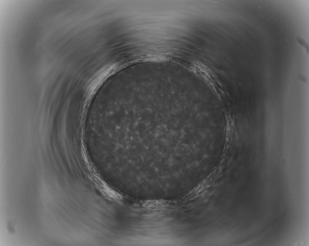 X0000103290145200809051507