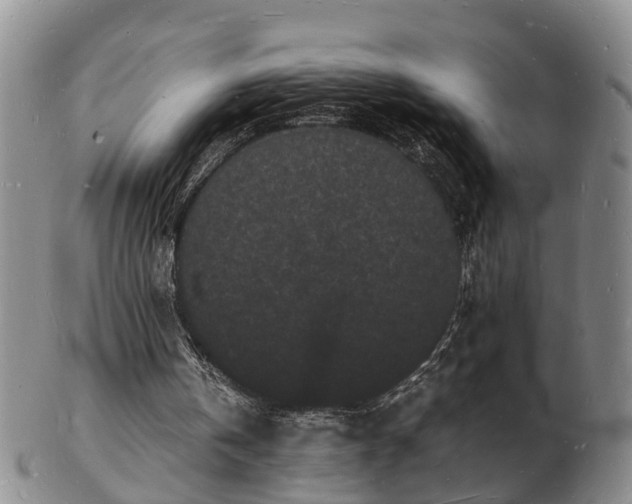 X0000103290146200809051507