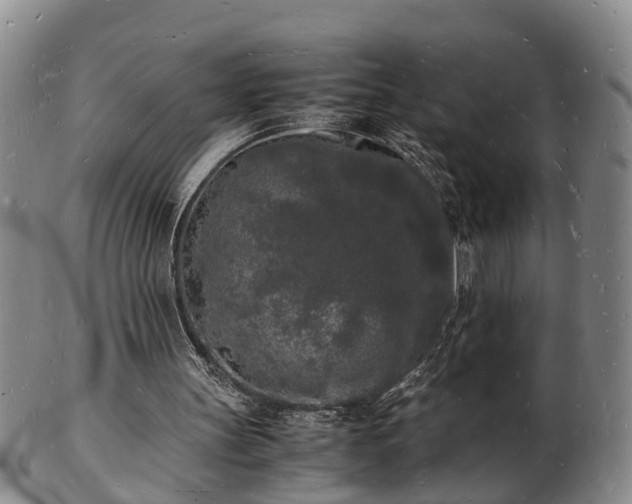 X0000103290147200809051507